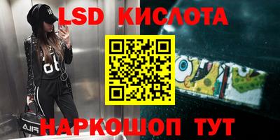 прущие грибы Комсомольск-на-Амуре