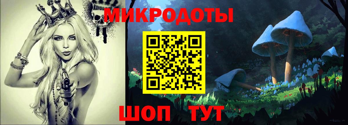 Галлюциногенные грибы Psilocybine cubensis Кропоткин